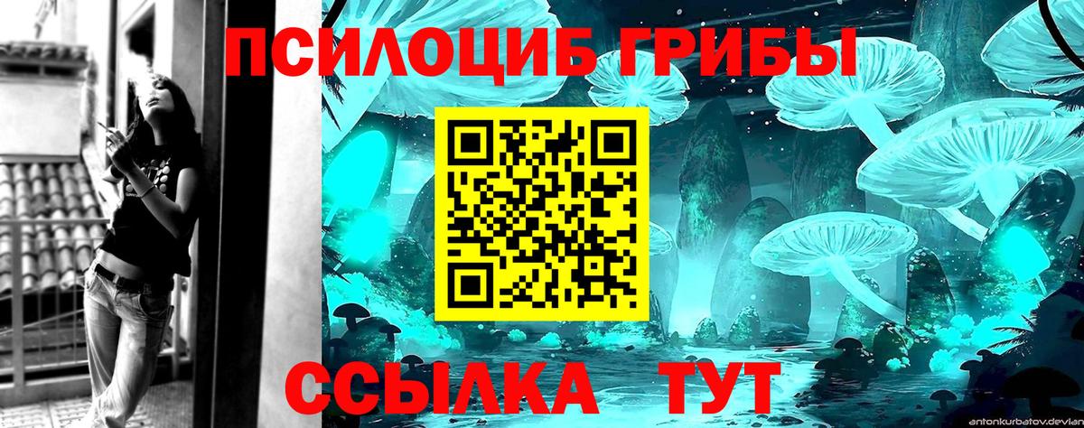 Галлюциногенные грибы GOLDEN TEACHER Ливны
